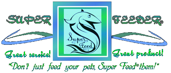 Super feeder best sale automatic cat feeder