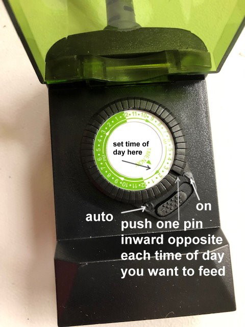 ACAT-32 digital timer for outdoor feeder instructions