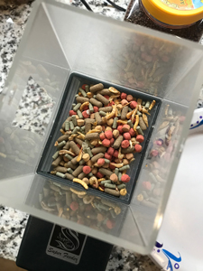 mixed food for feeding turtles