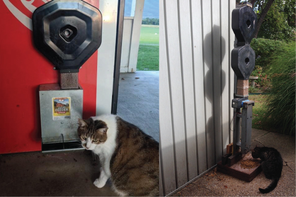 CSF-3XL feeders models mounted outside