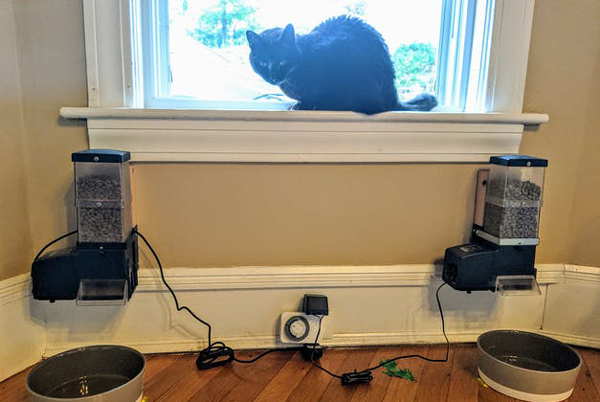 Two automatic CSF-2 Feeders triggered by one timer