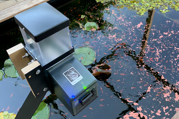 koi pond automatic feeder installed over pond with custom bracket