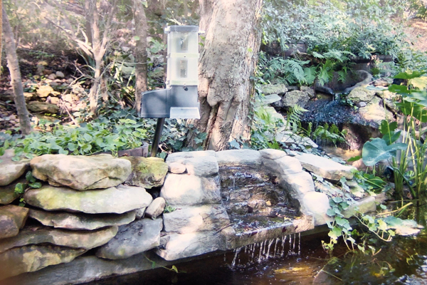 feeder with 2 extensions over pond