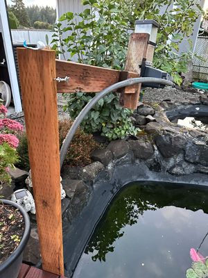 koi pond feeder over pond outdoor