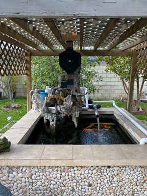covered small koi pond with automatic feeder