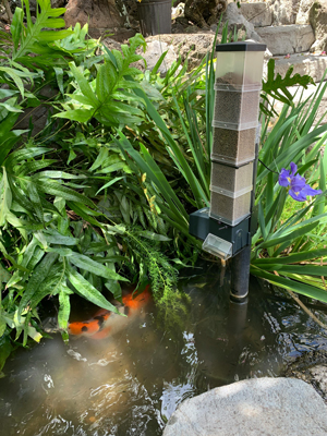 basic automatic koi pond feeder