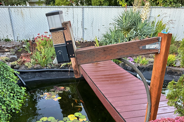 swing arm mounted koi pond feeder