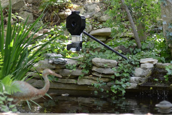 automatic pond feeder hung with pipe over koi pond