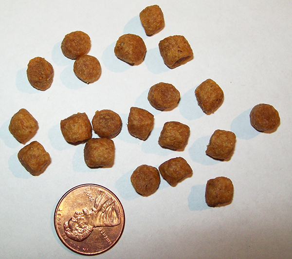Suggested kibble size for use in Super Feeder